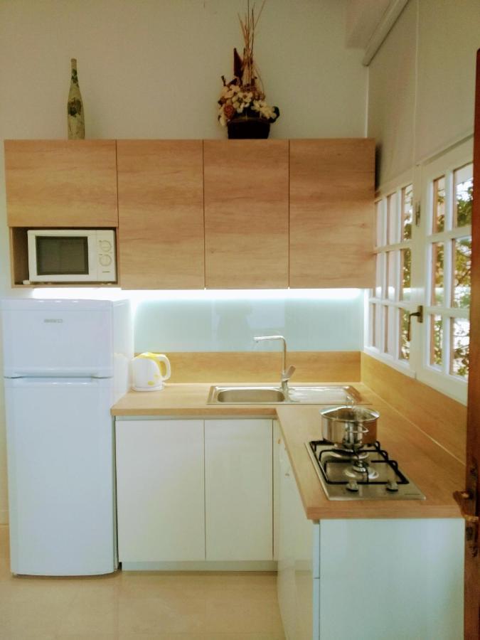 Apartmani Ines ドラスニセ エクステリア 写真